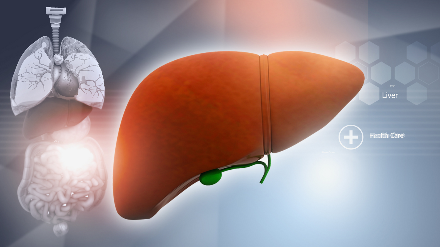 Liver Love: 5 Simple Ways to Keep Your Liver Healthy