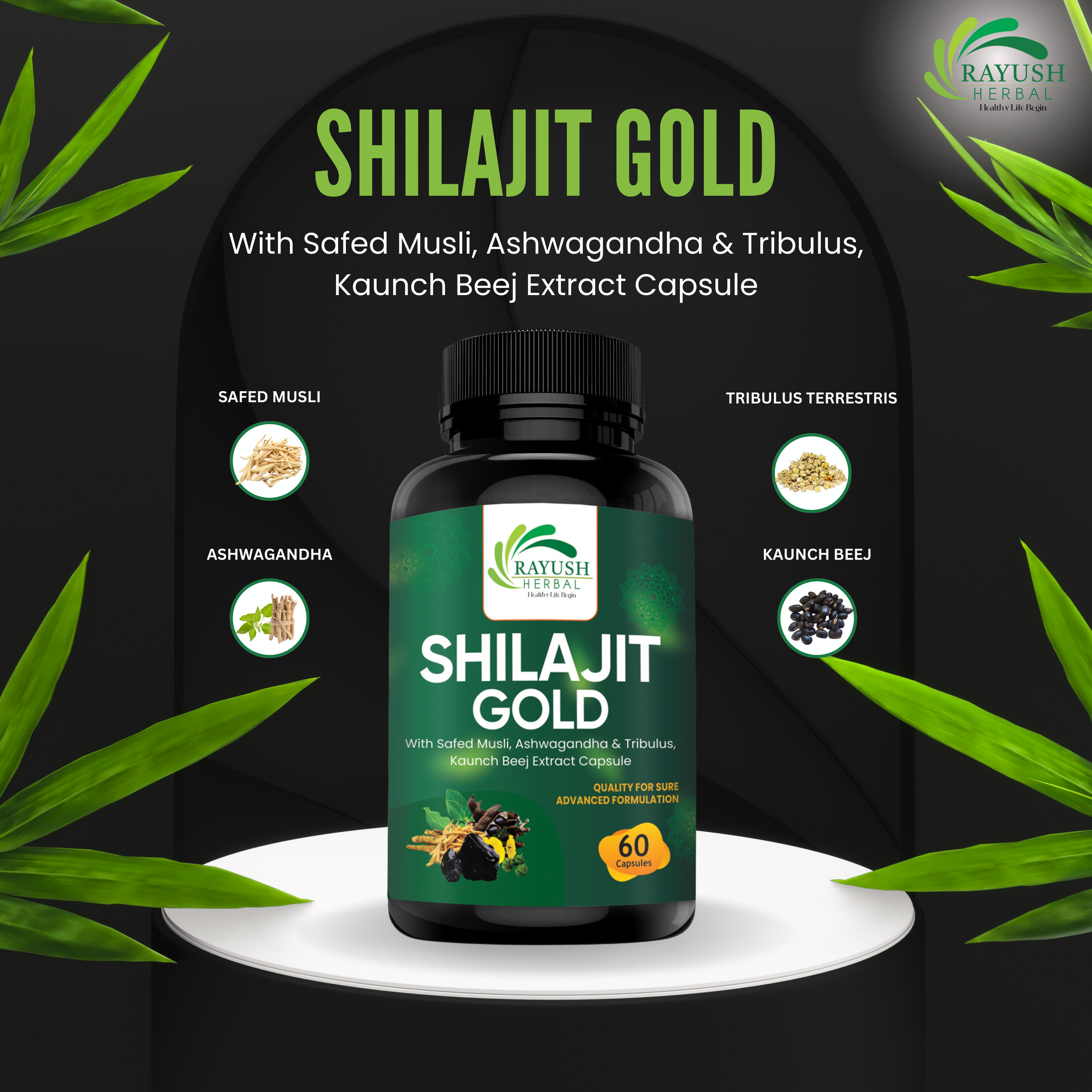 Himalayan Shilajit Gold Capsule